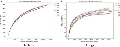 Influence of Peanut, Sorghum, and Soil Salinity on Microbial Community Composition in Interspecific Interaction Zone